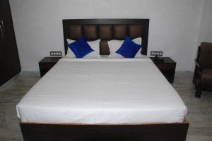 Budget-Hotels-Udaipur (6)