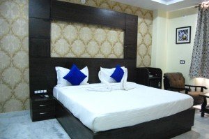 Book Udaipur Hotels Online (24)
