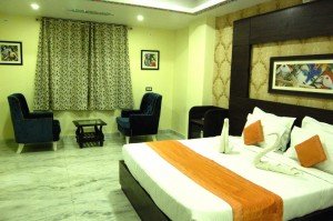 Book Udaipur Hotels Online (54)