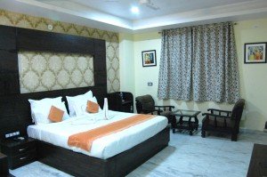 Book Udaipur Hotels Online (65)